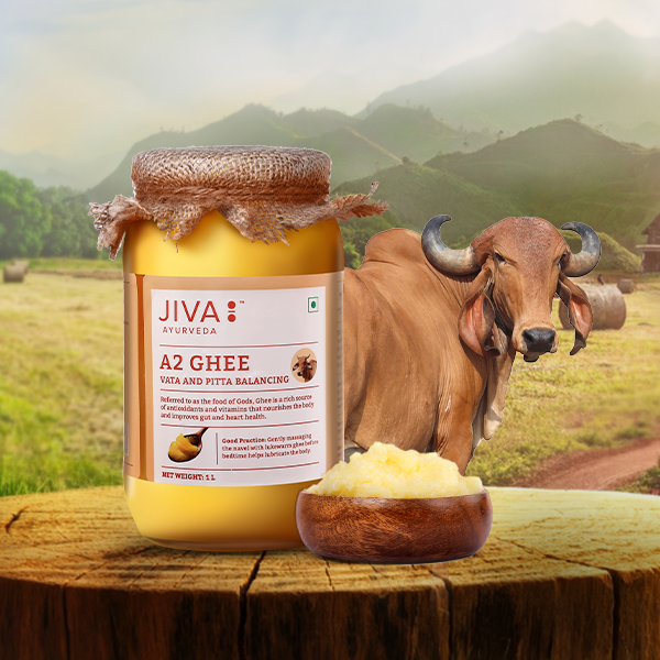 What is A2 Ghee and How Does it Elevate Your Overall Well-being?