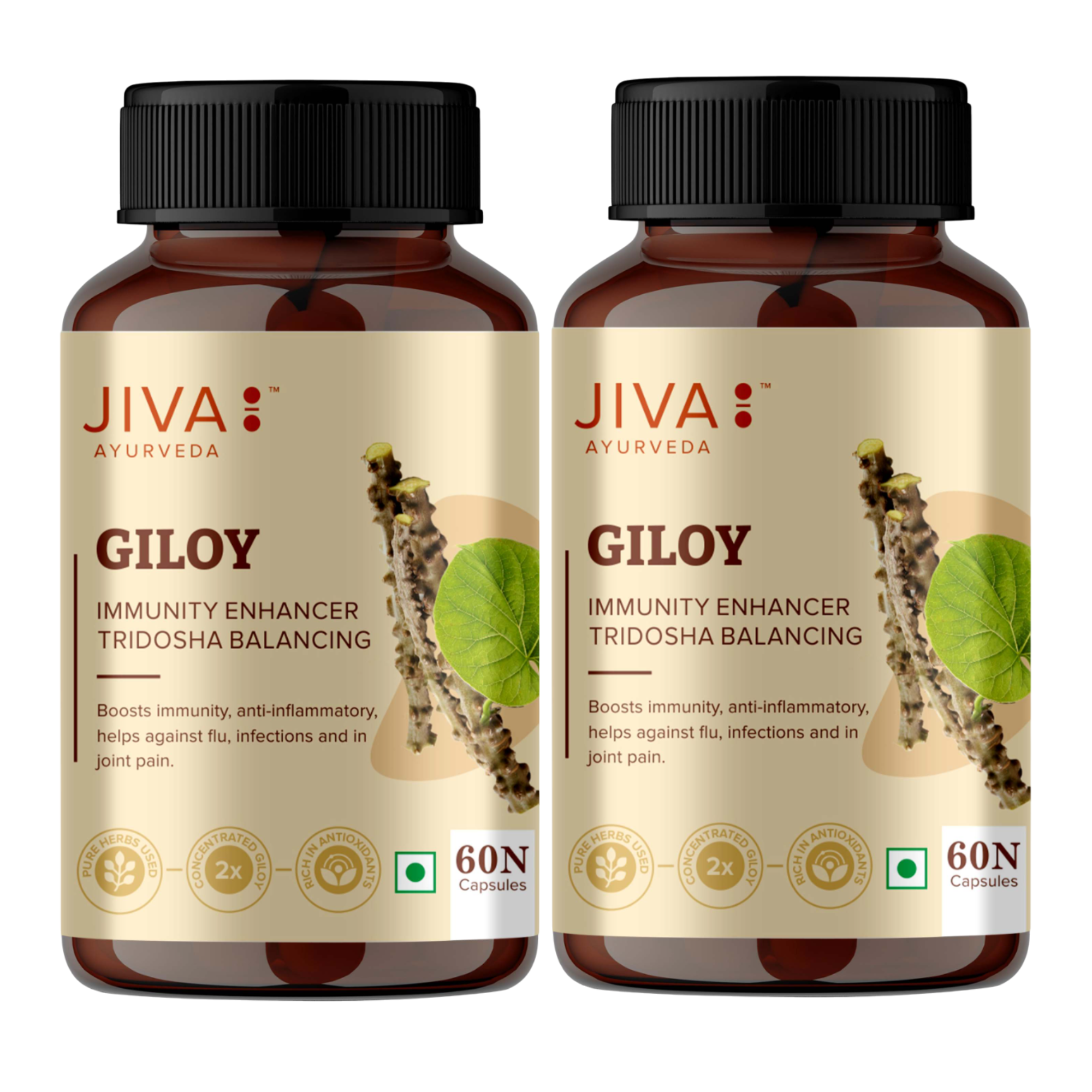 Jiva GiloyCapsule for Digestion | 100% Pure & Natural | Ageing and Immunity Boost - 60 Capsule