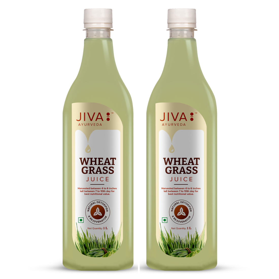 Jiva Ayurveda Wheatgrass Juice Good For Immunity - 1Ltr (Pack of 1)