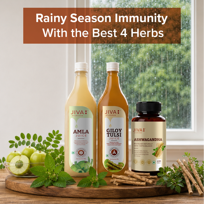 Monsoon Immunity Crash: Ayurveda's 4-Herb Protocol