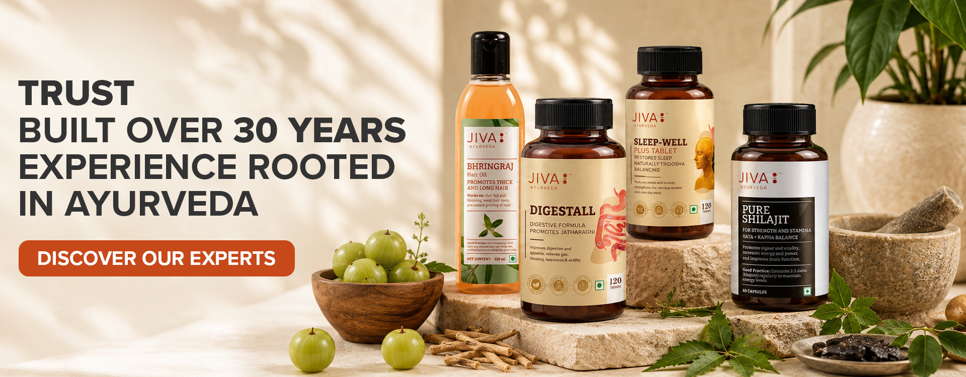 JivaAyurveda