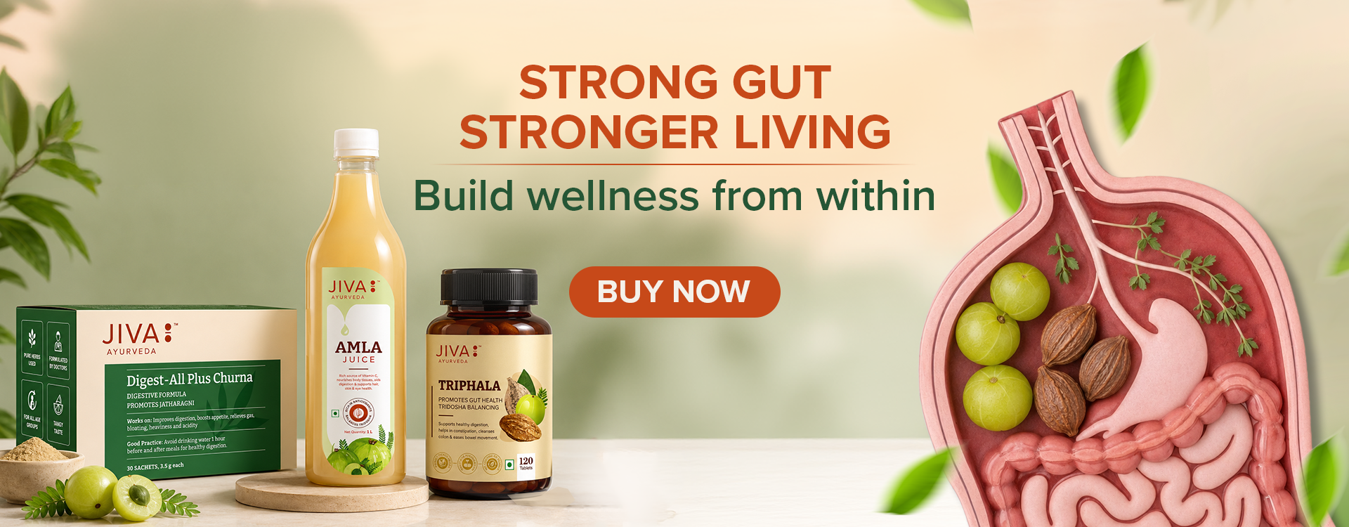 JivaAyurveda