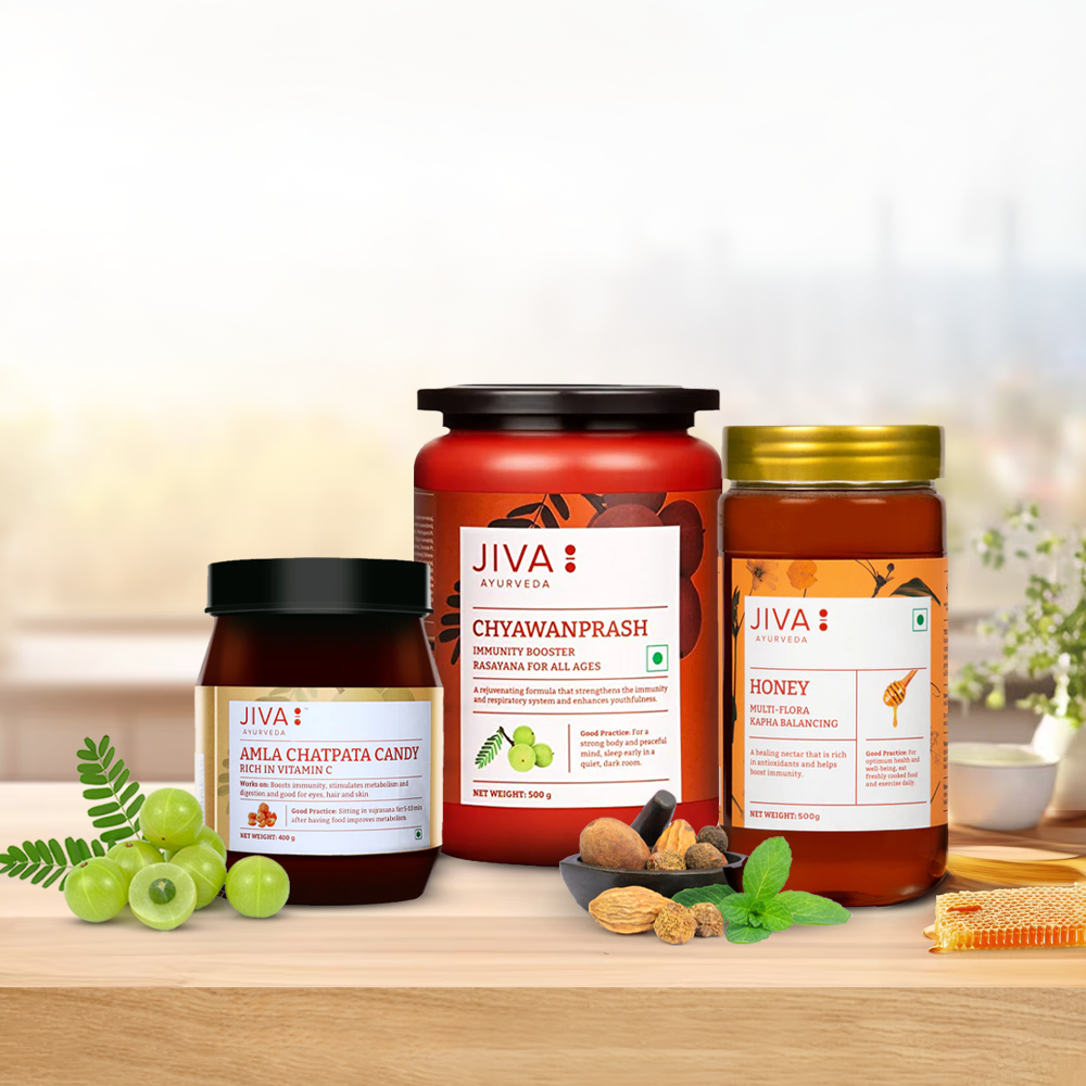 Winter Immunity Combo - Chyawanprash 500g | Amla Chatpata Candy 400g | Honey 500g For Immunity