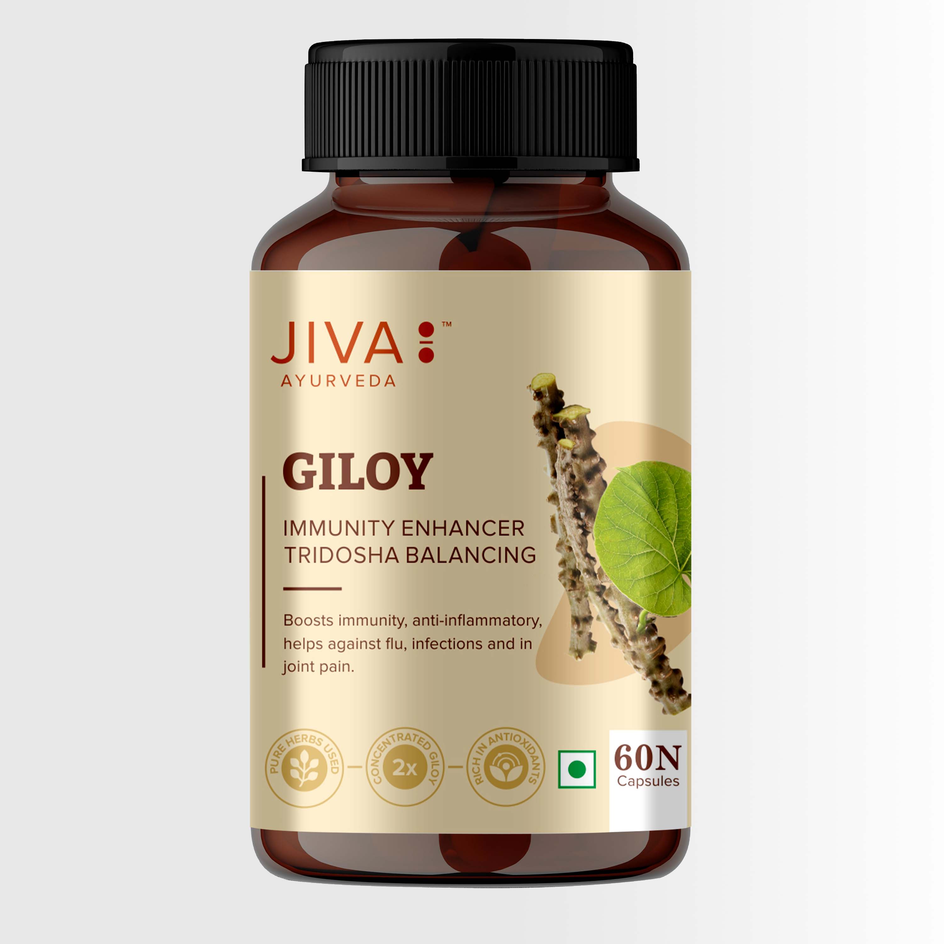 Jiva GiloyCapsule for Digestion | 100% Pure & Natural | Ageing and Immunity Boost - 60 Capsule
