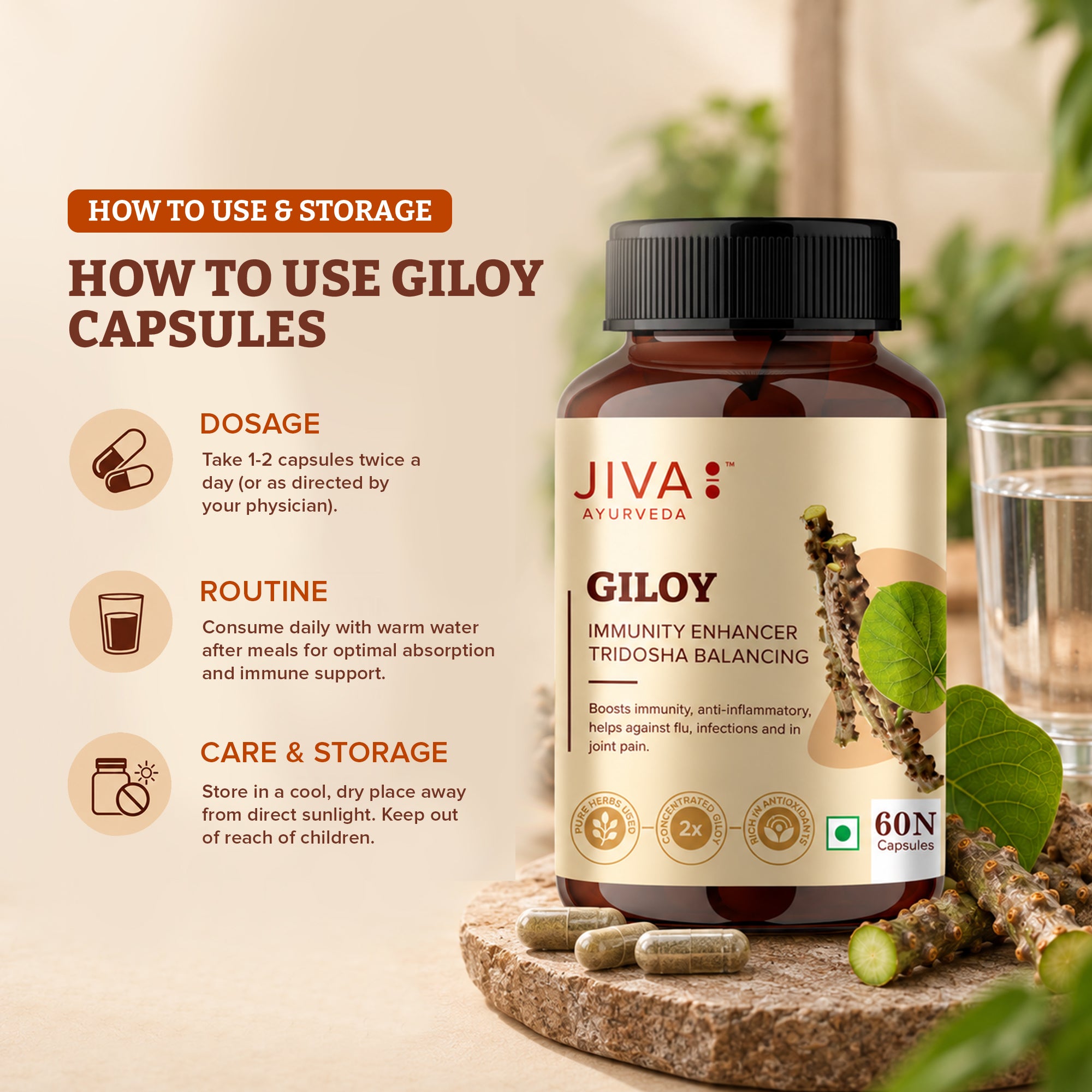 Jiva GiloyCapsule for Digestion | Pure & Natural | Ageing and Immunity Boost - 60 Capsule