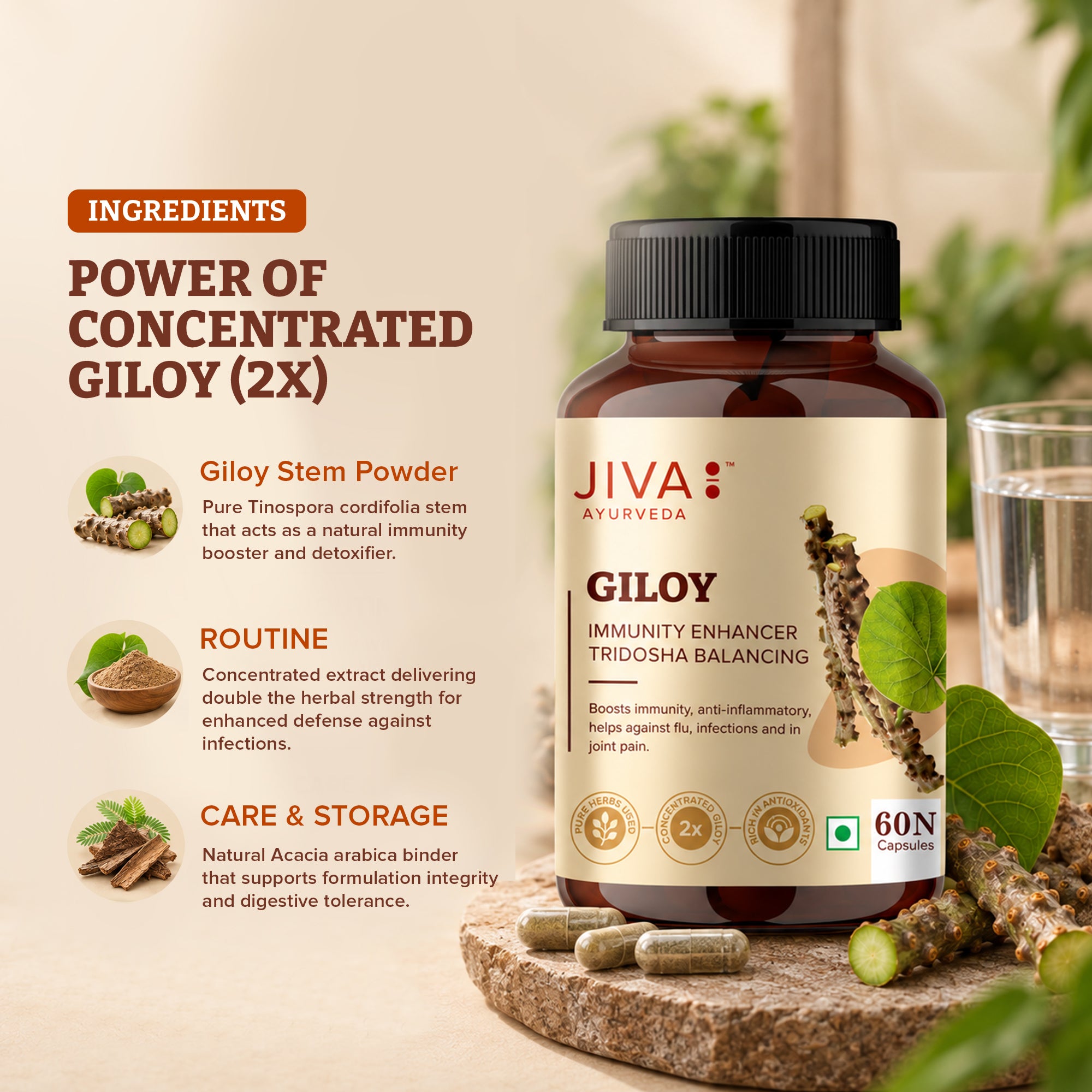Jiva GiloyCapsule for Digestion | Pure & Natural | Ageing and Immunity Boost - 60 Capsule