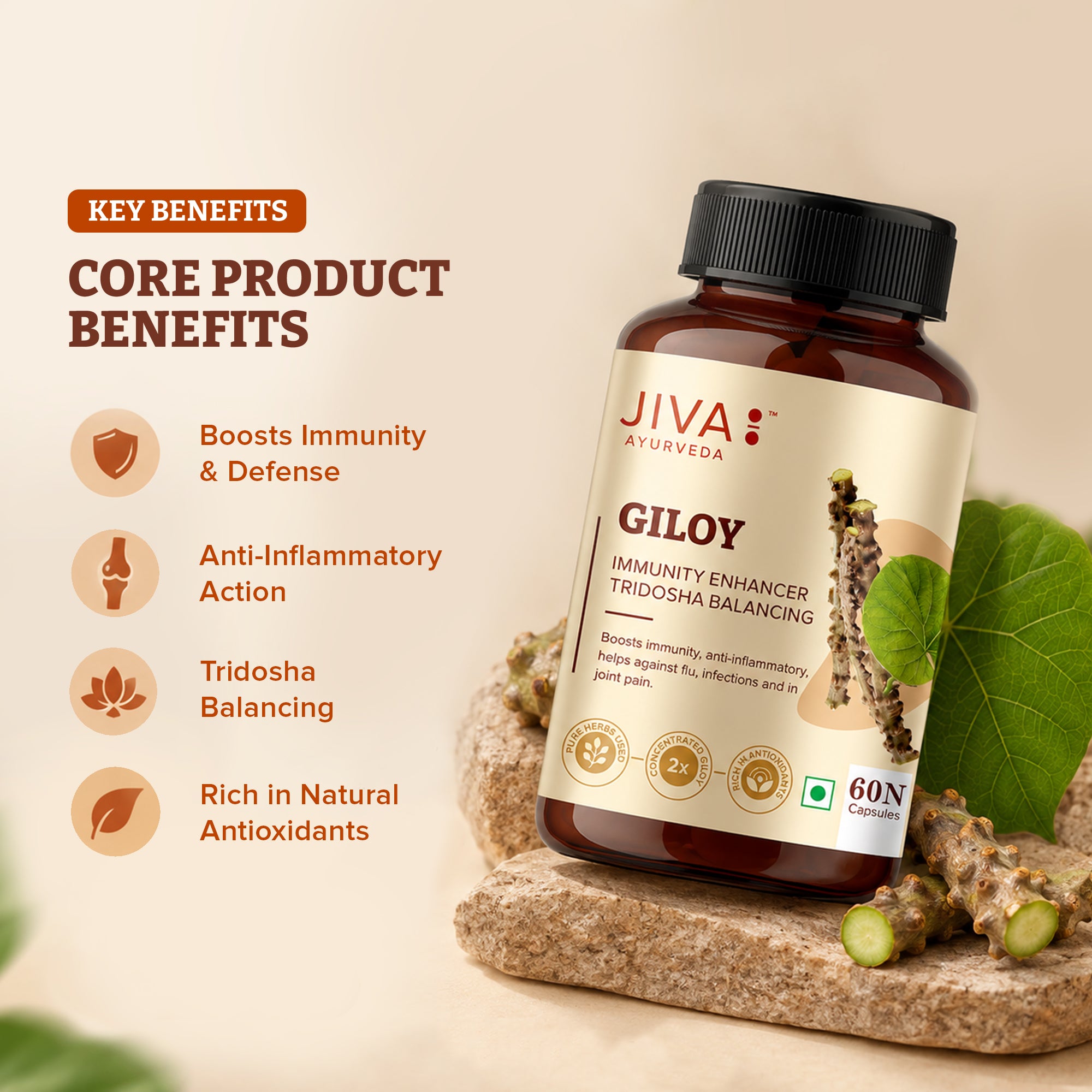 Jiva GiloyCapsule for Digestion | Pure & Natural | Ageing and Immunity Boost - 60 Capsule