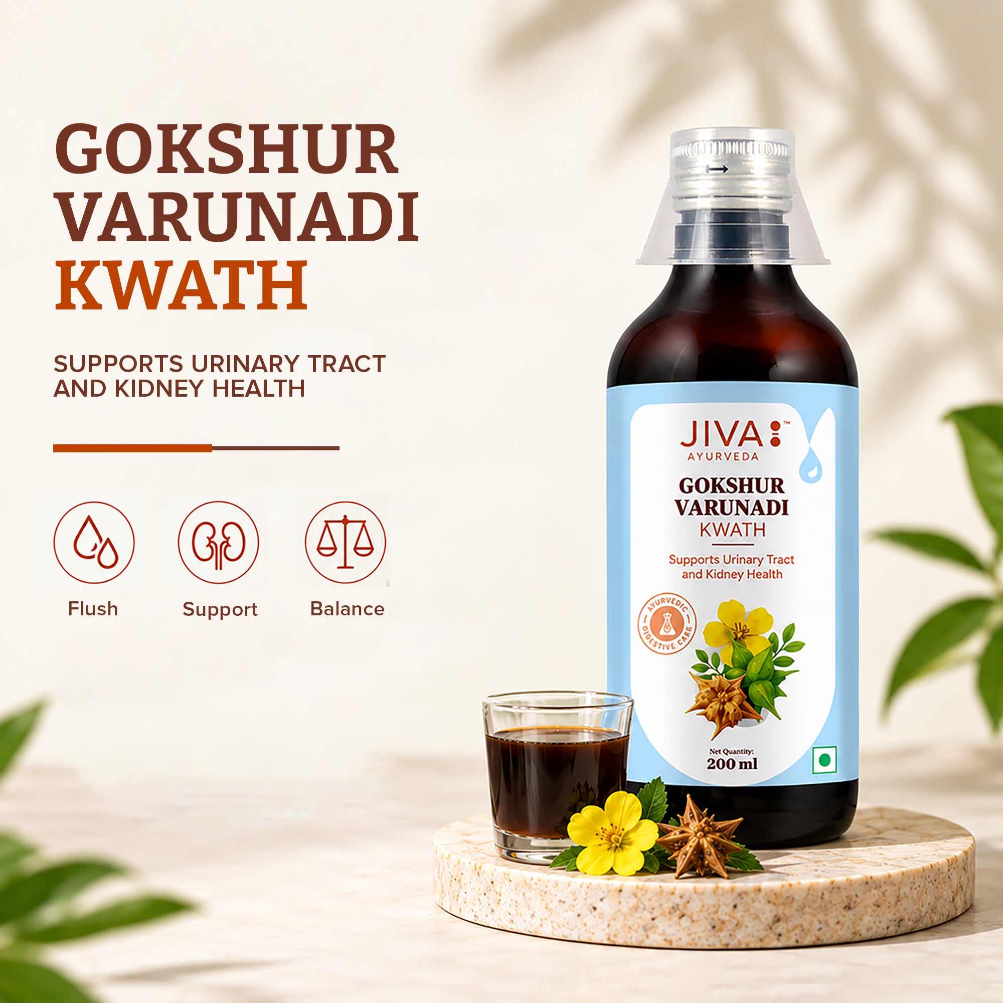 Gokshurvarunadi Kwath | Helps With Urinary Tract Disorders