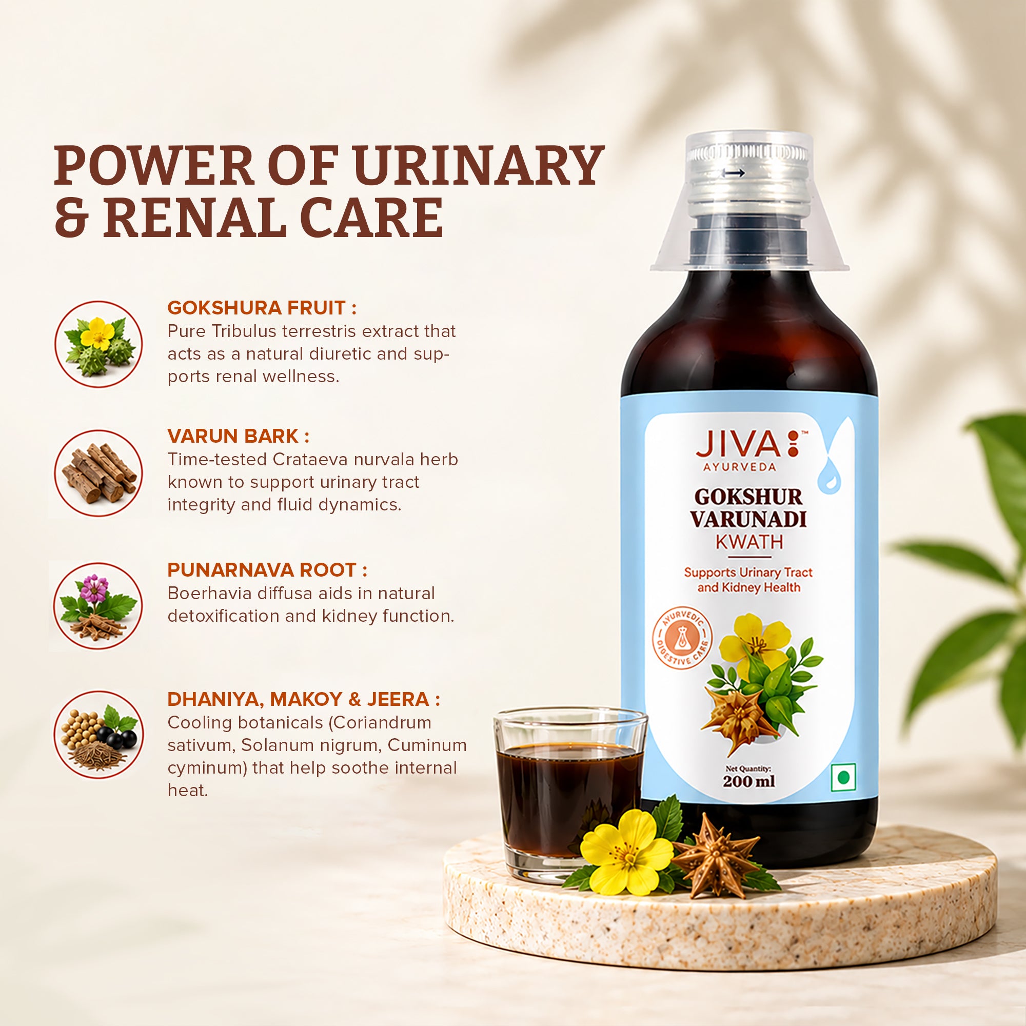 Gokshurvarunadi Kwath | Helps With Urinary Tract Disorders