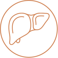 LIVER CARE