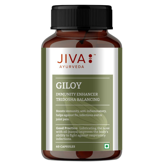 JIVA Giloy Bottle of 60 QTY