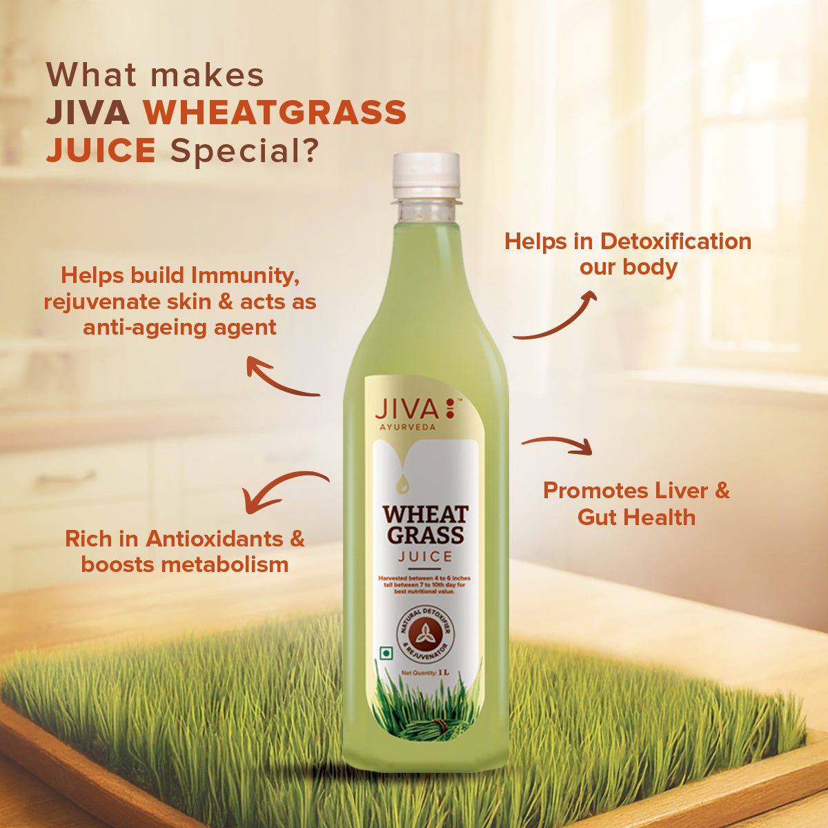 Jiva Ayurveda Wheatgrass Juice Good For Immunity - 1Ltr (Pack of 1)