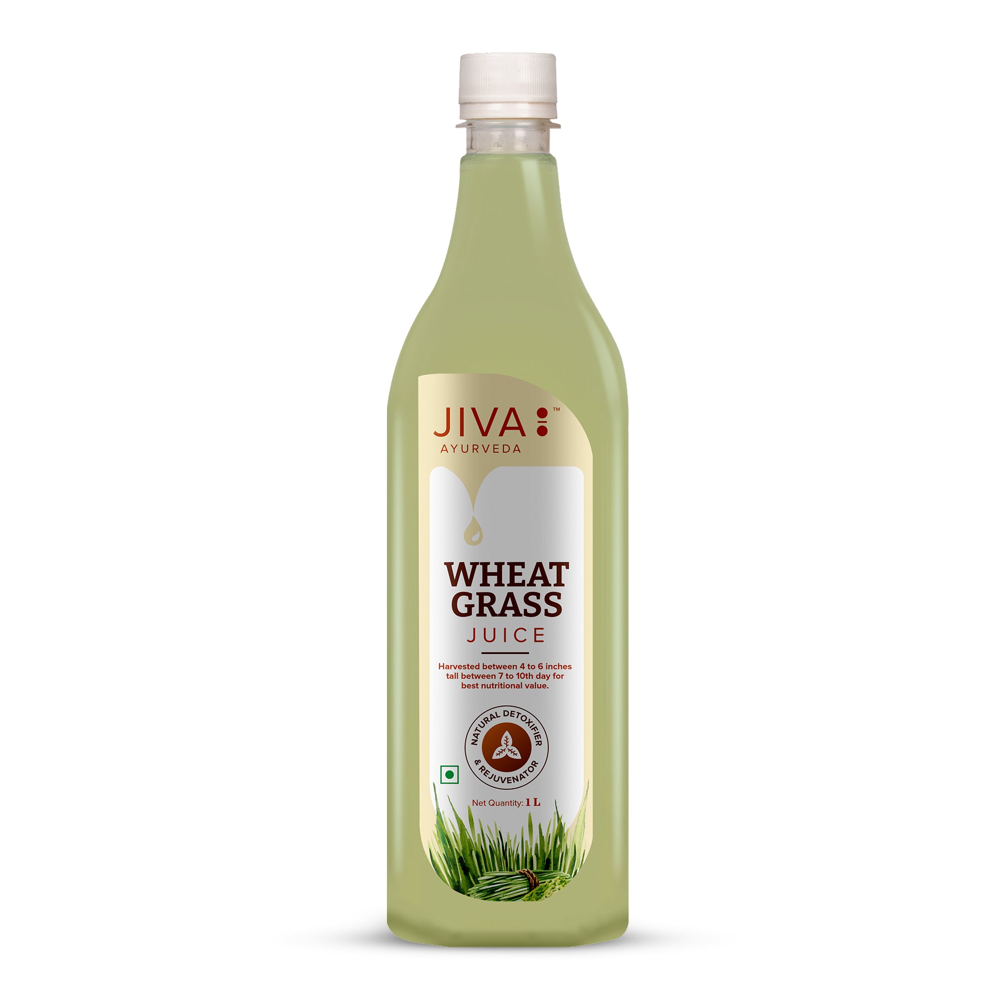 Jiva Ayurveda Wheatgrass Juice Good For Immunity - 1Ltr (Pack of 1)
