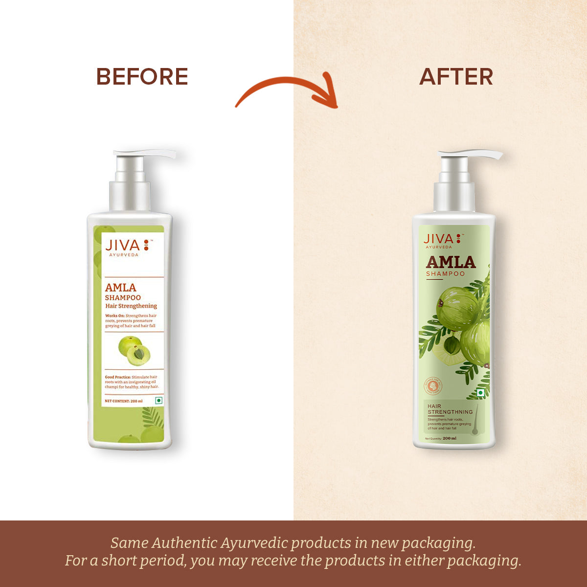 Amla Shampoo 200 ml | Controls Hairfall And Dandruff