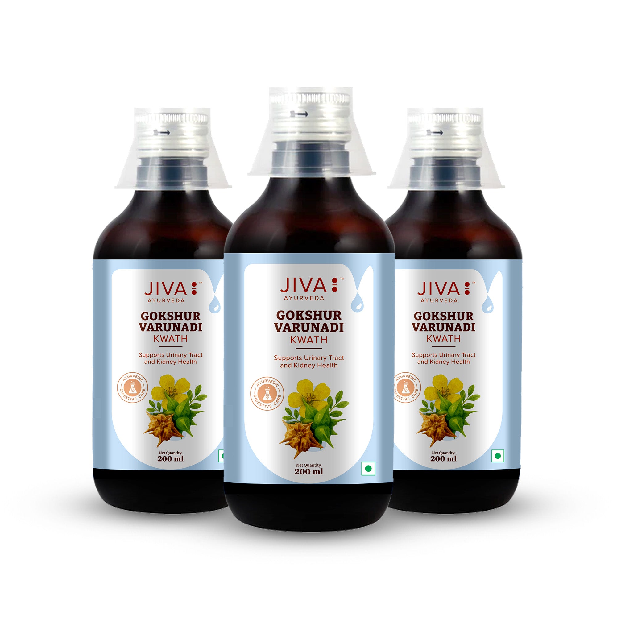Gokshurvarunadi Kwath | Helps With Urinary Tract Disorders
